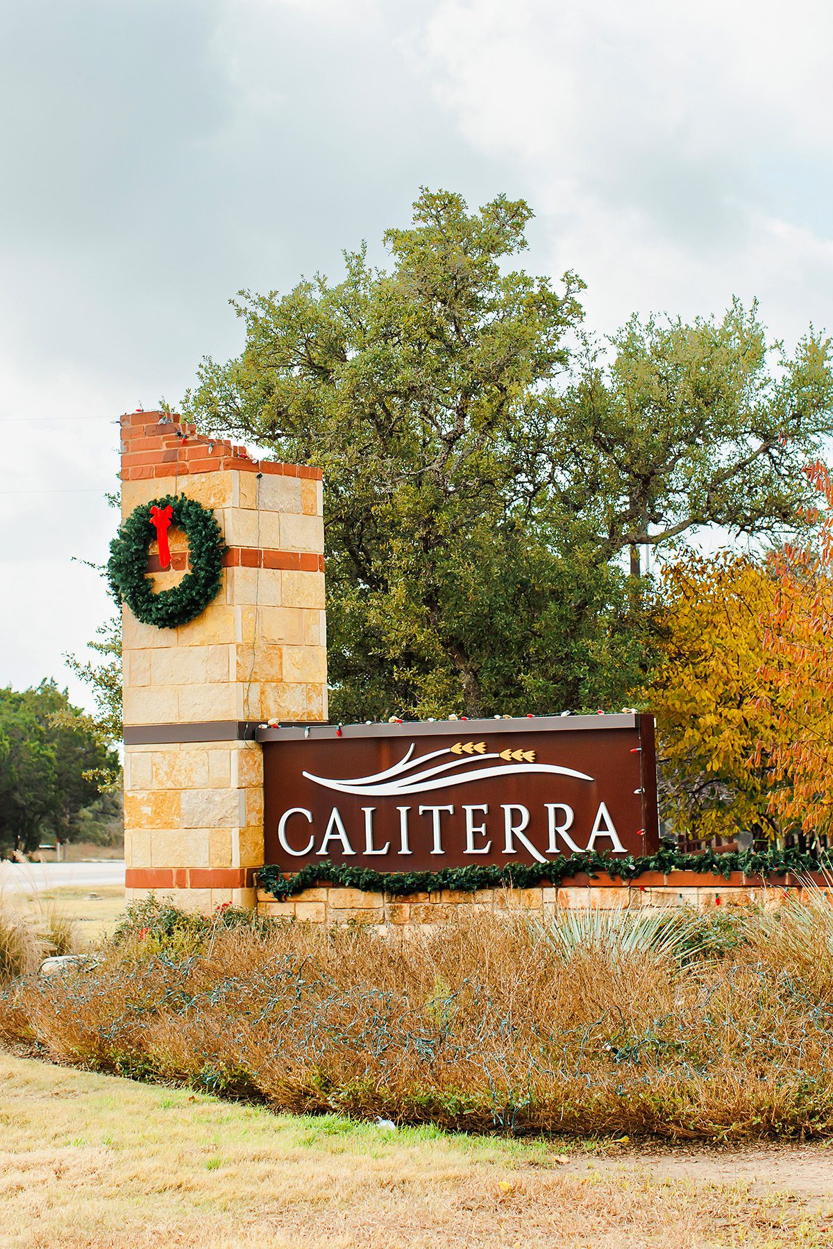 Caliterra neighborhood street lined with live oaks, Dripping Springs TX